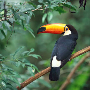 Meet your Posher, Aaron